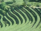 Cina 2012