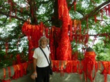 Cina 2012