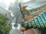 Cina 2012