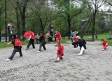 KUNG FU TAIJI Parco Maggiolina