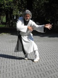 KUNG FU TAIJI Parco Maggiolina