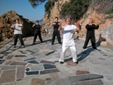 QI GONG TAIJI KUNG FU