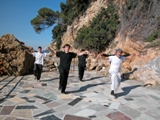 QI GONG TAIJI KUNG FU