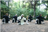 QI GONG TAIJI KUNG FU