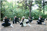 QI GONG TAIJI KUNG FU