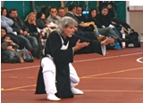 QI GONG TAIJI KUNG FU